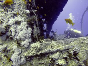 Underwater Exploration: The SS Thistlegorm Wreck In The Red Sea - The ...