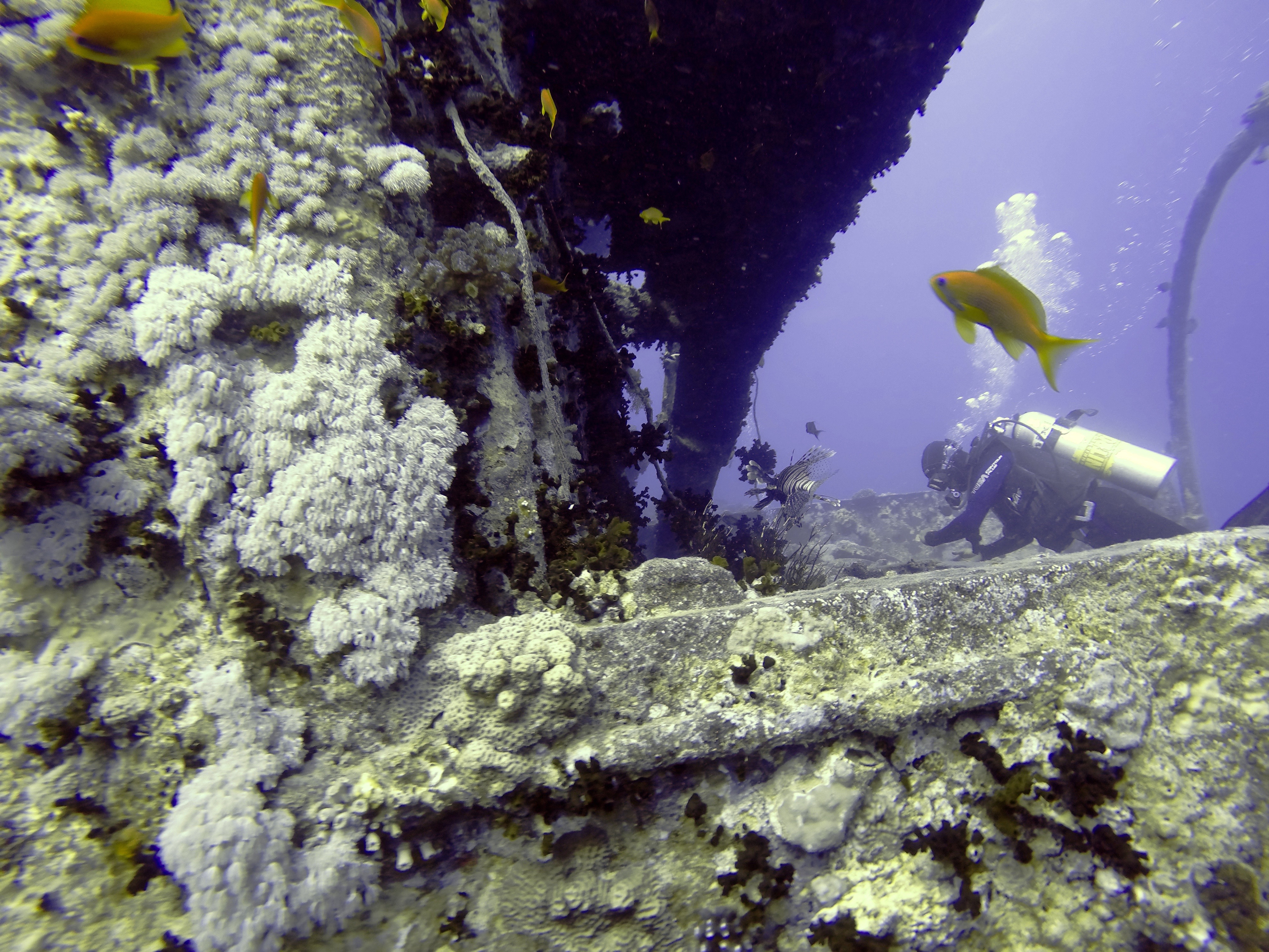 Diving The SS Thistlegorm